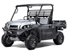 Mule