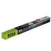 Boss Audio 2' RGB LED XP2 Whip Flag w/ Bluetooth Controller
