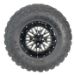 Federal Xplora U/T Tire Side