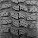 Sedona Rockabilly Tire - 