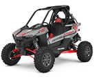 RZR RS1